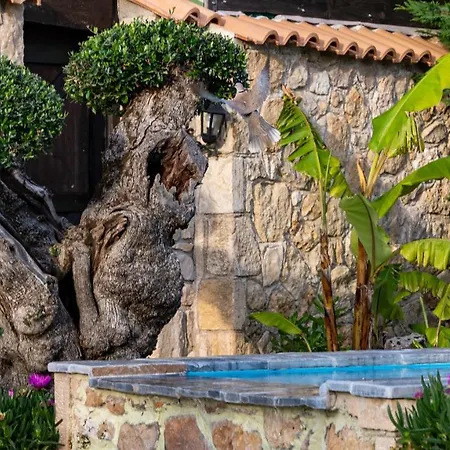 Villa Art House
