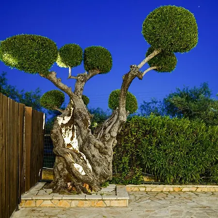 Art House Villa *